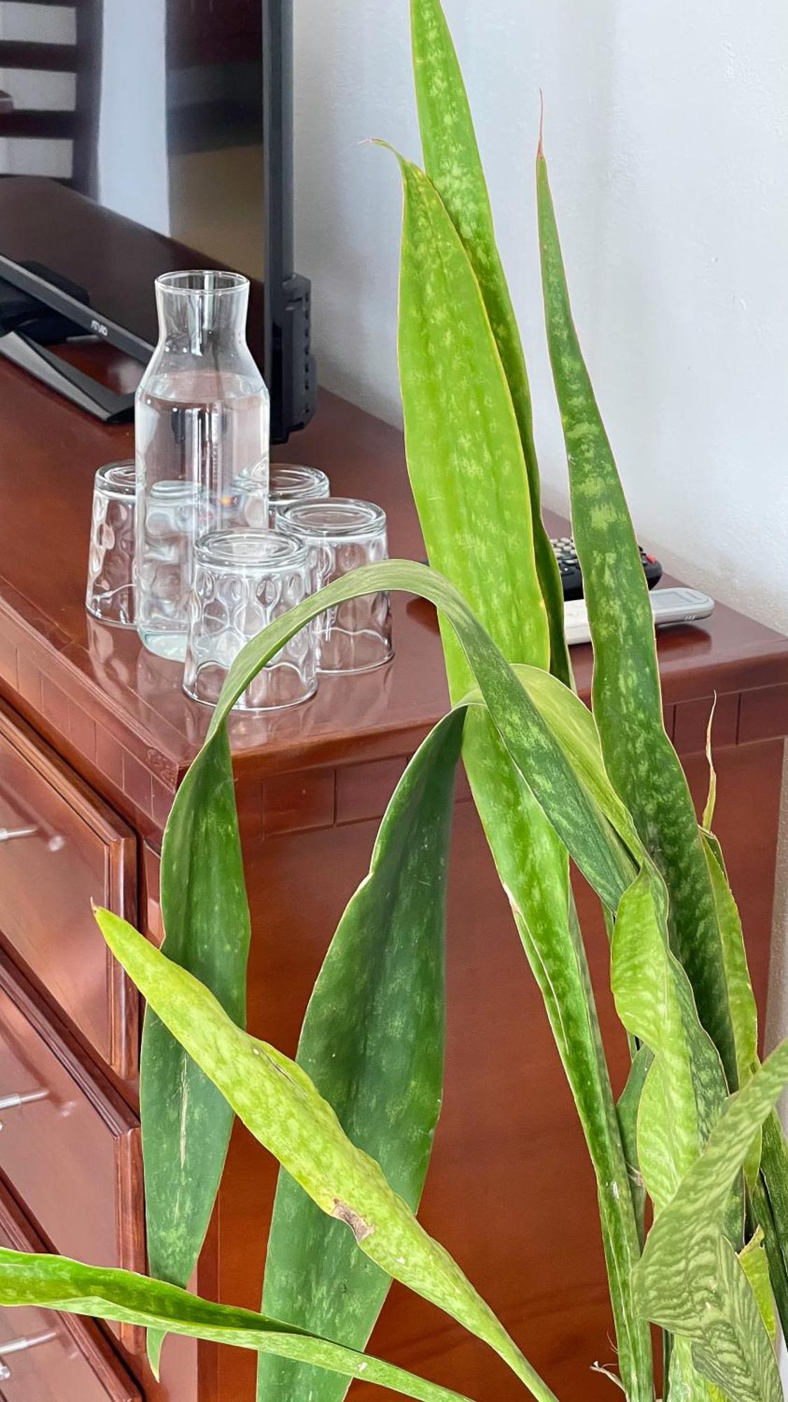 Quinta Alberto Boutique Hotel San Blas Room photo