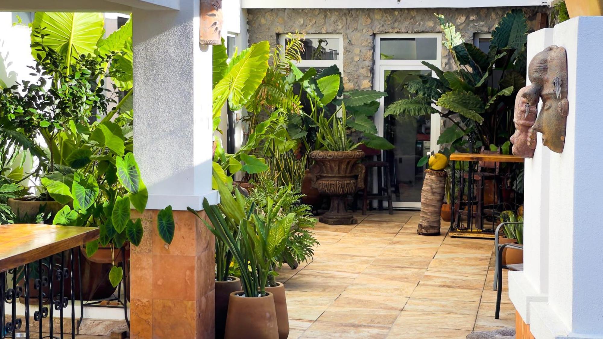 Quinta Alberto Boutique Hotel San Blas Exterior photo